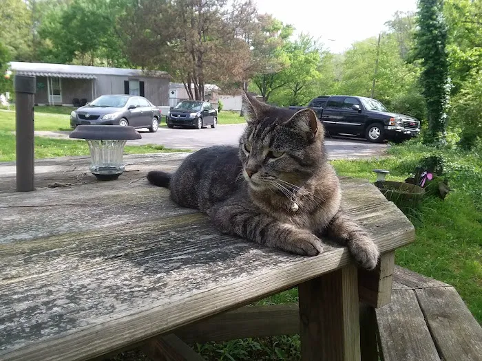 Beechwood Community Picture 6