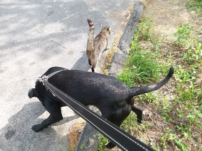 Beechwood Community Picture 4