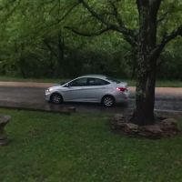 Beechwood Community ico