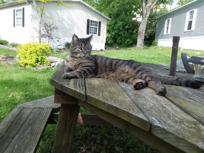 Beechwood Community Picture 2