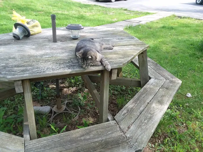 Beechwood Community Picture 9