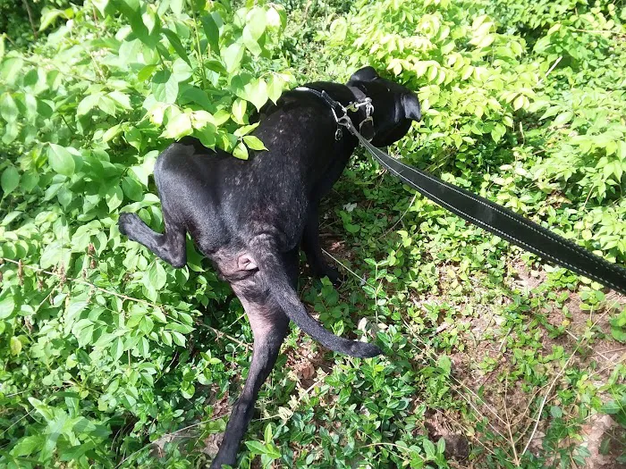 Beechwood Community Picture 7