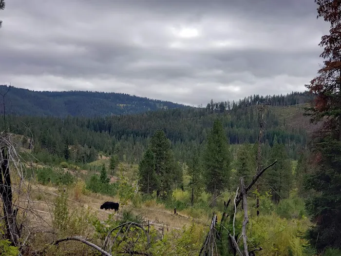 Cabin Creek Campground Picture 3