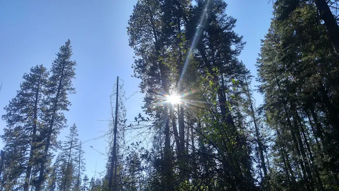 Cabin Creek Campground Picture 2