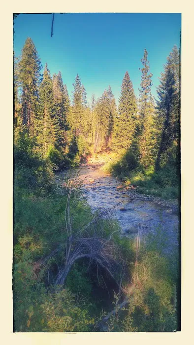 Cabin Creek Campground Picture 1