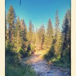 Cabin Creek Campground