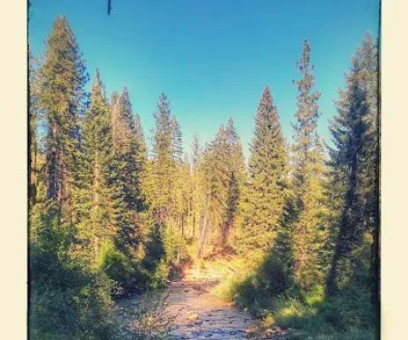 Cabin Creek Campground