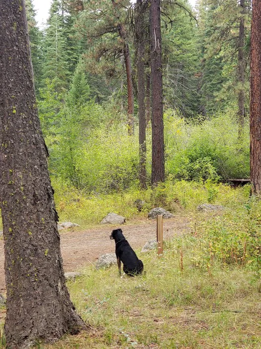 Cabin Creek Campground Picture 8