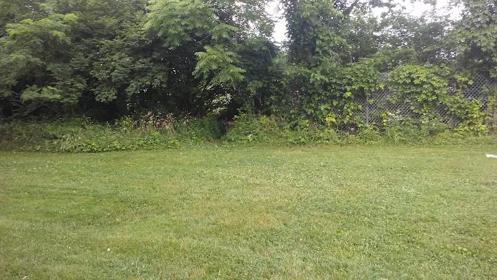 Whistler Cove Picture 1