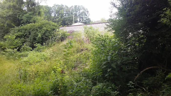 Whistler Cove Picture 2