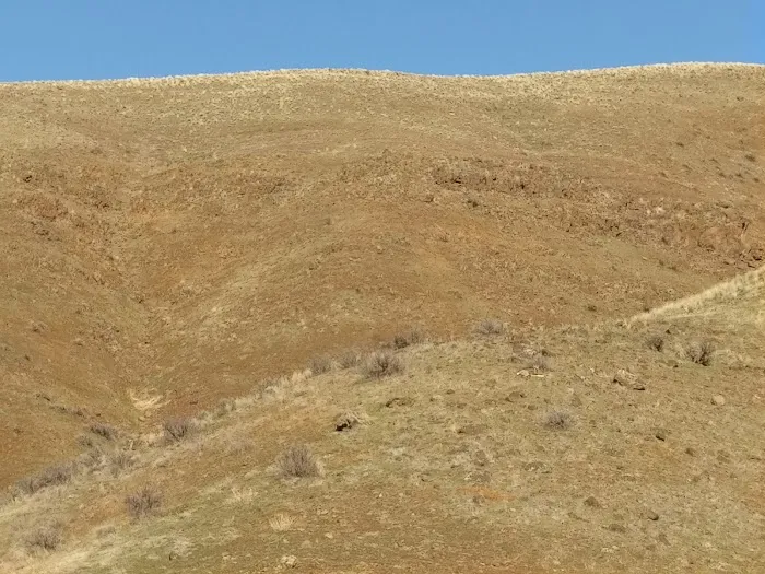 McCormick Campground Picture 7