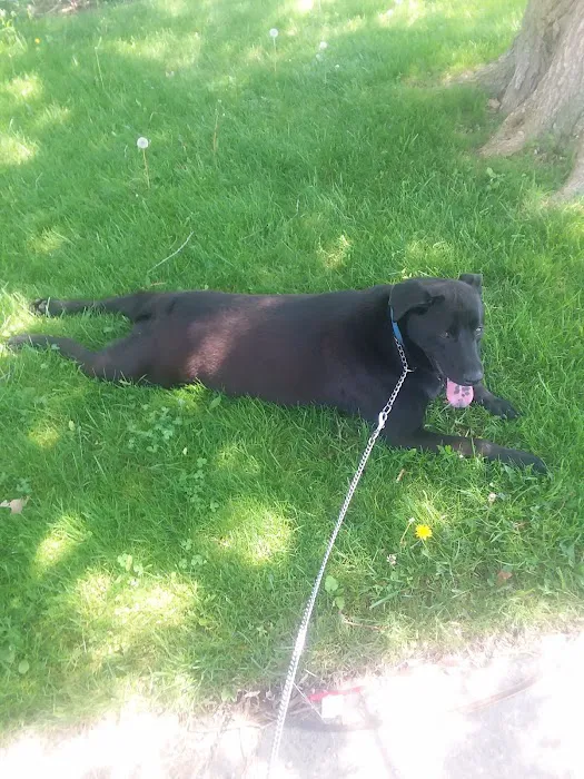 Augusta Homes Picture 2