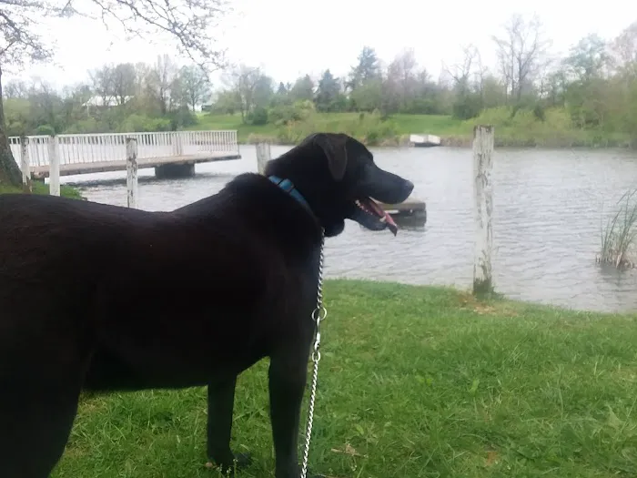 Augusta Homes Picture 1