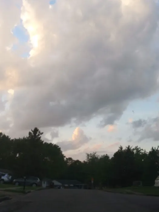 Augusta Homes Picture 9