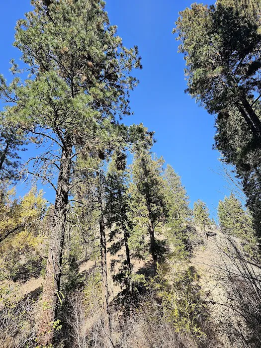 Brownlee Campground Picture 6