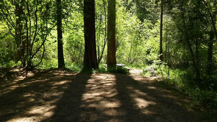 Brownlee Campground Picture 1