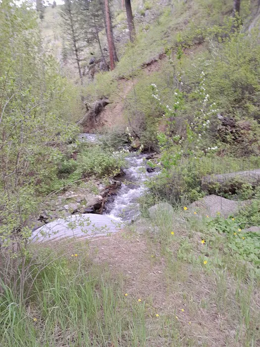 Brownlee Campground Picture 2
