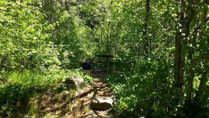 Brownlee Campground Picture 4