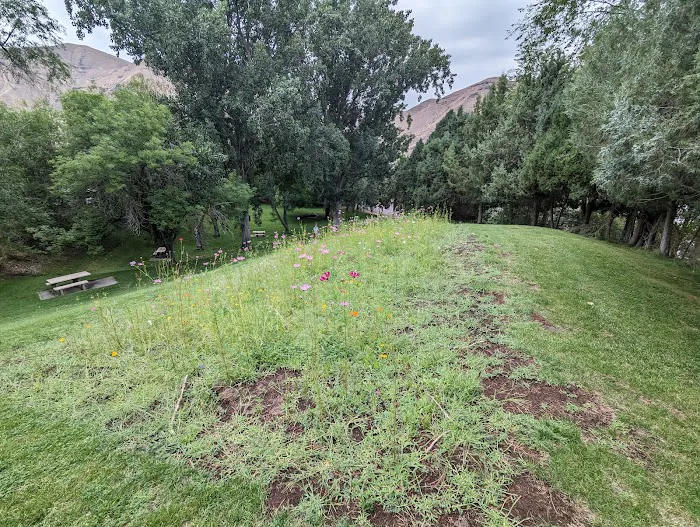 Woodhead Park Campground Picture 8