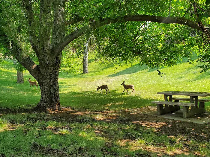 Woodhead Park Campground Picture 10
