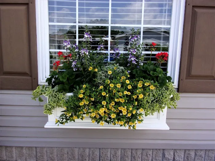 Riverview Crossing pool Picture 7