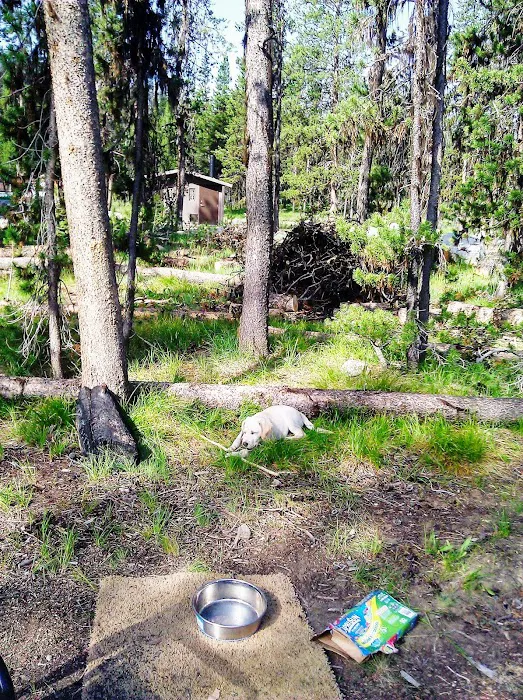 Bear Valley Campground Picture 10