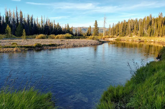 Bear Valley Campground Picture 2