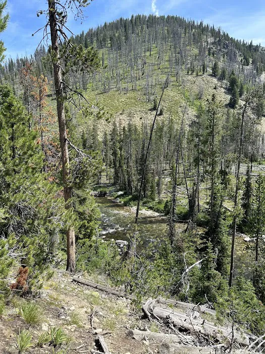 Lola Creek Campground Picture 10