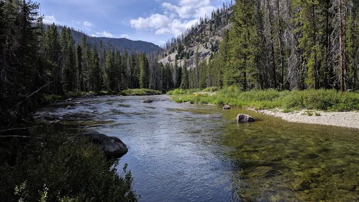 Lola Creek Campground Picture 6