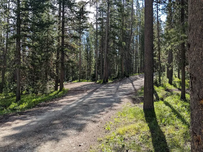 Lola Creek Campground Picture 7