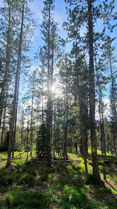 Bench Creek Campground Picture 1