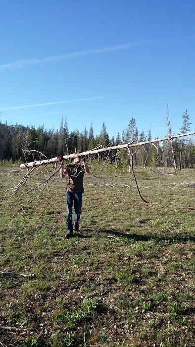 Bench Creek Campground Picture 10