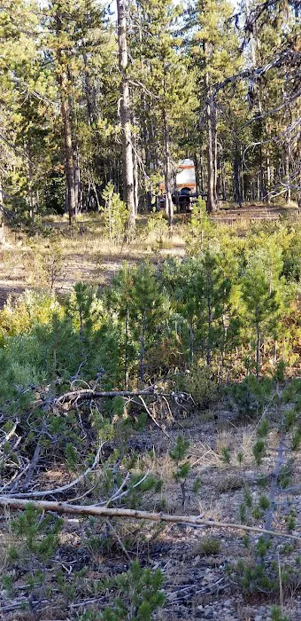 Bench Creek Campground Picture 5
