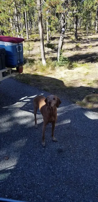 Bench Creek Campground Picture 7