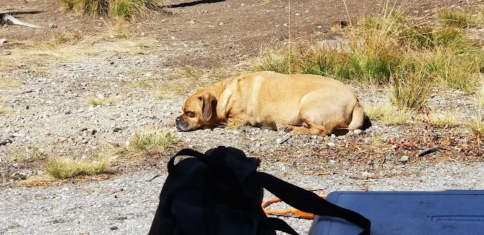 Bench Creek Campground Picture 9