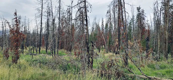 Trap Creek Campground Picture 6