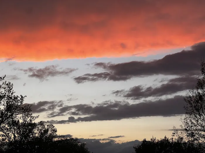 Deer Trace Pointe Mobile Home Park Picture 4