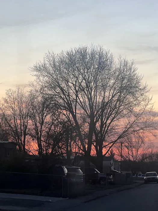 Deer Trace Pointe Mobile Home Park Picture 1