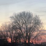 Deer Trace Pointe Mobile Home Park