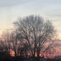 Deer Trace Pointe Mobile Home Park ico