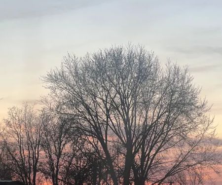 Deer Trace Pointe Mobile Home Park