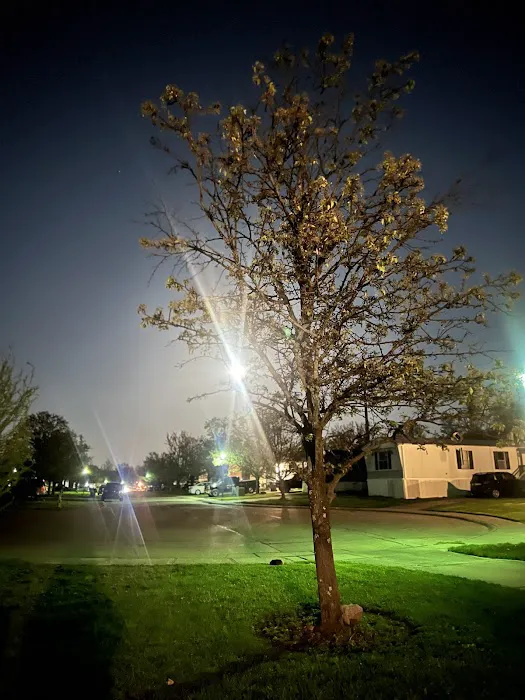 Deer Trace Pointe Mobile Home Park Picture 3