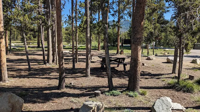 Sheep Trail Campground Picture 6