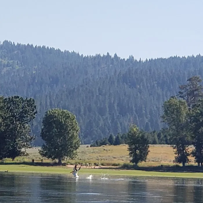 Sugarloaf Campground Picture 9