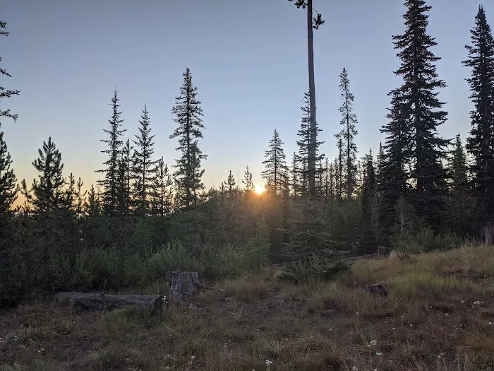 Twin Lakes Campground Picture 1