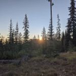 Twin Lakes Campground