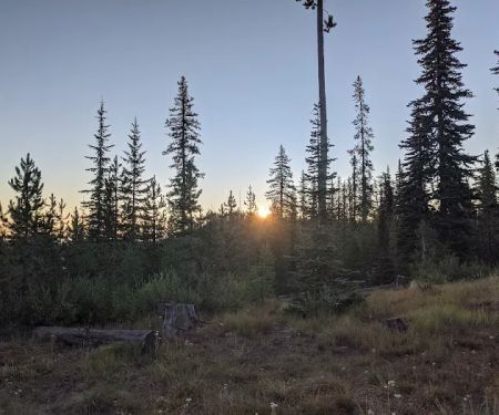 Twin Lakes Campground