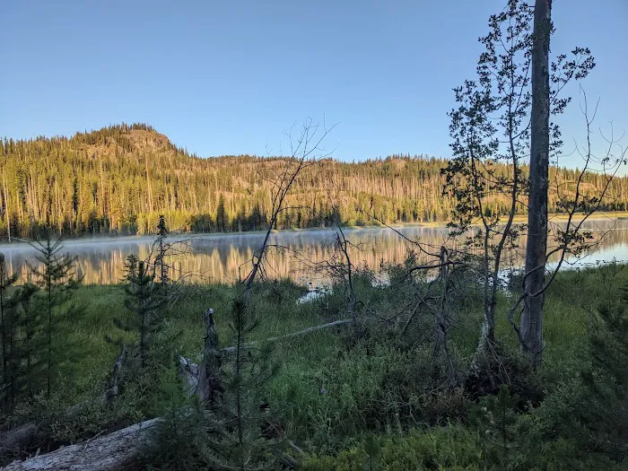 Twin Lakes Campground Picture 2