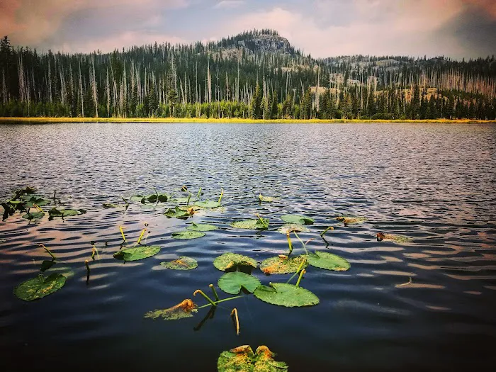 Twin Lakes Campground Picture 9