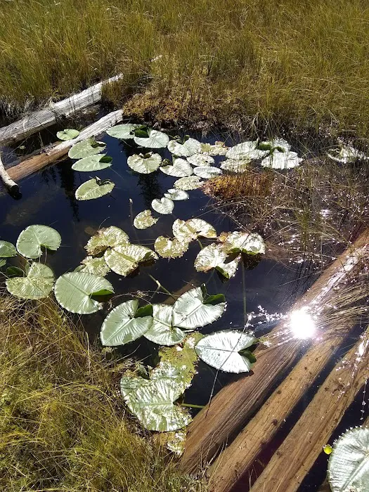 Twin Lakes Campground Picture 8
